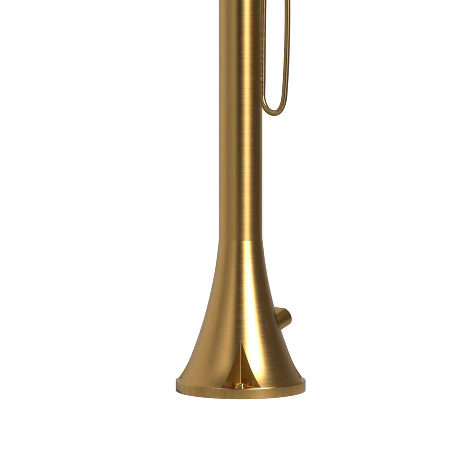 Doccia Esterno Luna Oro Flessibile 316l Con Doccia A Mano Sined