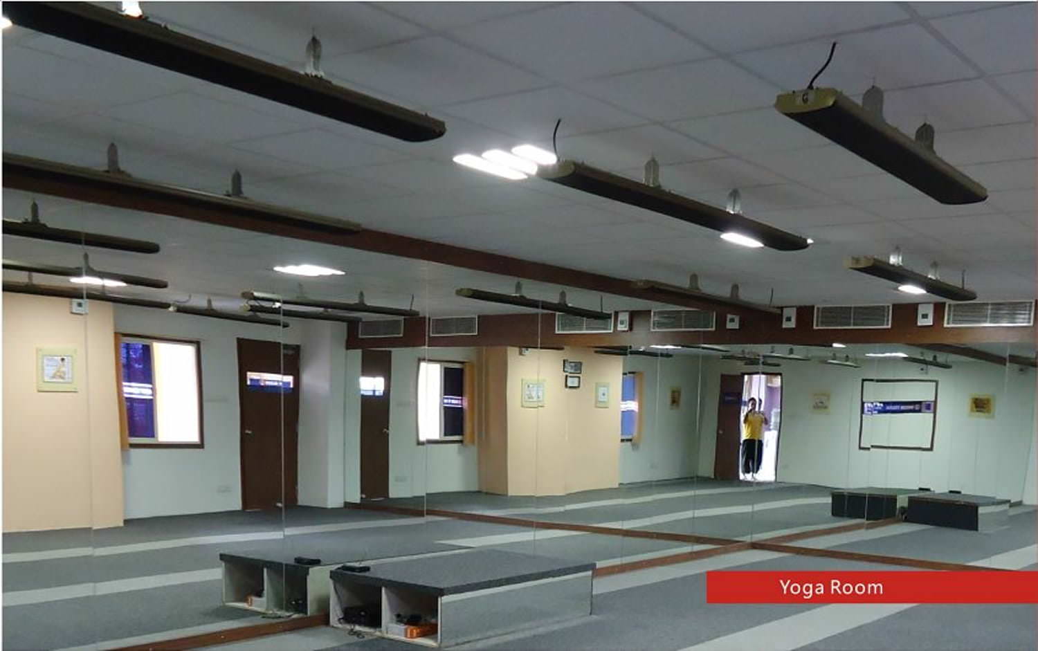 Calentador Infrarrojo 4000w Industrial Negro Sined