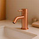 Verander naar de afbeelding Rubinetto Sined Levante Bajo Inox 316L: elegancia y durabilidad para tu baño 2