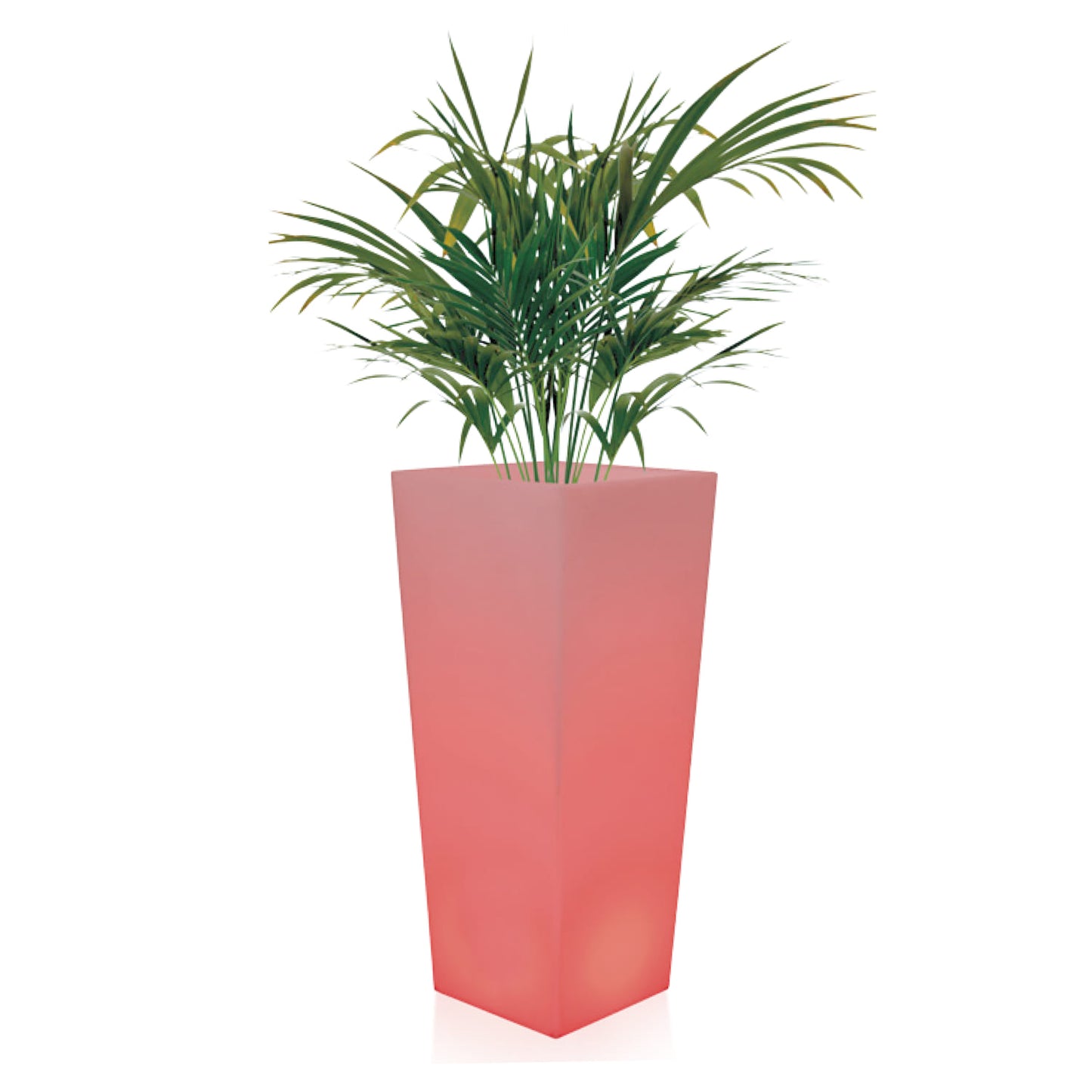 Vaso cuadrado luminoso solar de polietileno, elegante y resistente, ideal para interiores y exteriores. Fabricado en Italia, con garantía y envío rápido. ¡Compra ahora y transforma tu espacio!